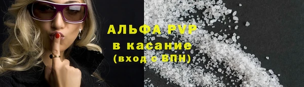 дживик Бородино
