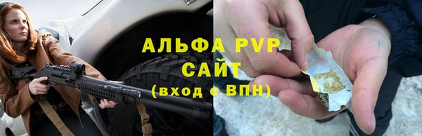 дживик Бородино