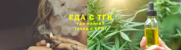дживик Бородино