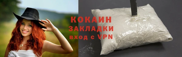 дживик Бородино