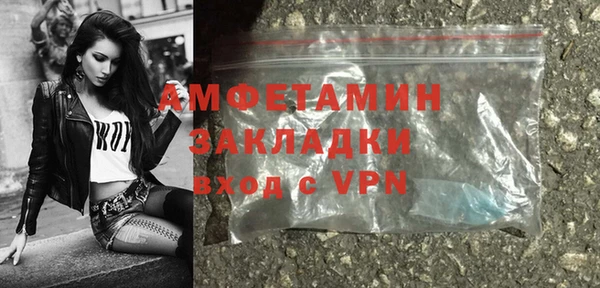 дживик Бородино