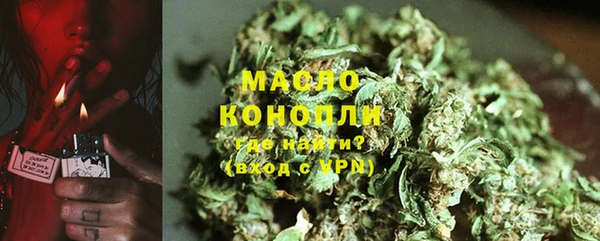 дживик Бородино
