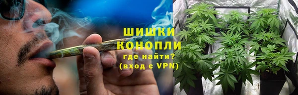 дживик Бородино