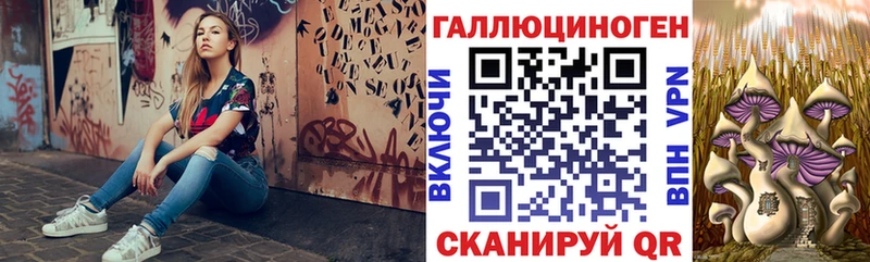 Купить где  Асино  Псилоцибиновые грибы прущие грибы 