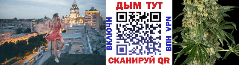 Бошки Шишки Amnesia  Купить где  Асино 